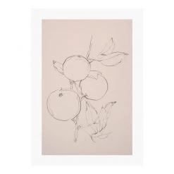 Zig Zag Art Fruit Contour Study Art Print