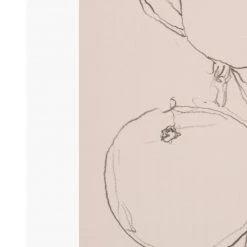 Zig Zag Art Fruit Contour Study Art Print