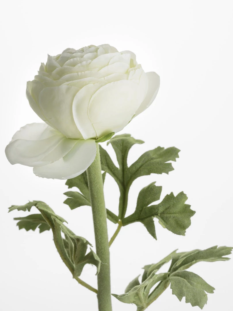 Amanranthine Faux Ranunculus Stem Faux Stems