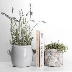 Garden Trading Rustic Plant Pot