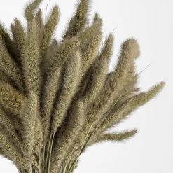 Atlas Dried Setaria Dried Stems