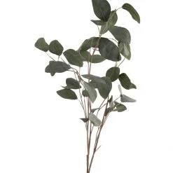 Coach House Faux Silver Dollar Eucalyptus