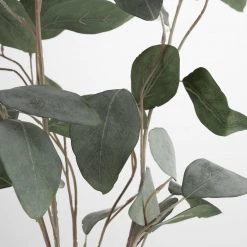 Coach House Faux Silver Dollar Eucalyptus