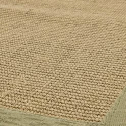 Asiatic Drop Ship Sisal Sage Border Rug Rugs