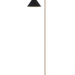 Pacific Drop Ship Troy Floor Lamp Floor Lamps