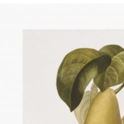 Zig Zag Art Prints Vintage Pears V Art Print