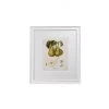 Hudson Home Vintage Pears I Framed Art