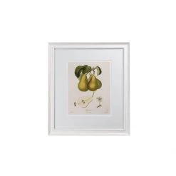 Hudson Home Vintage Pears I Framed Art