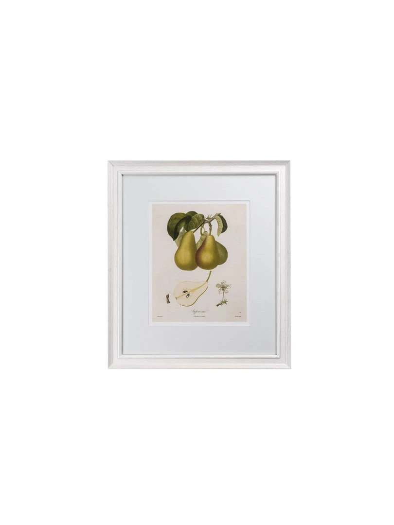 Hudson Home Vintage Pears I Framed Art