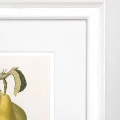 Hudson Home Vintage Pears I Framed Art
