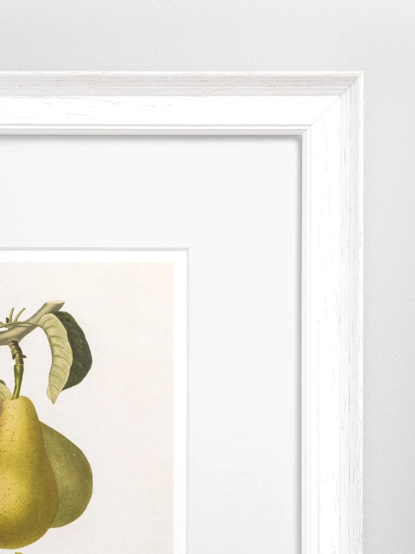 Hudson Home Vintage Pears I Framed Art