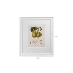 Hudson Home Vintage Pears I Framed Art