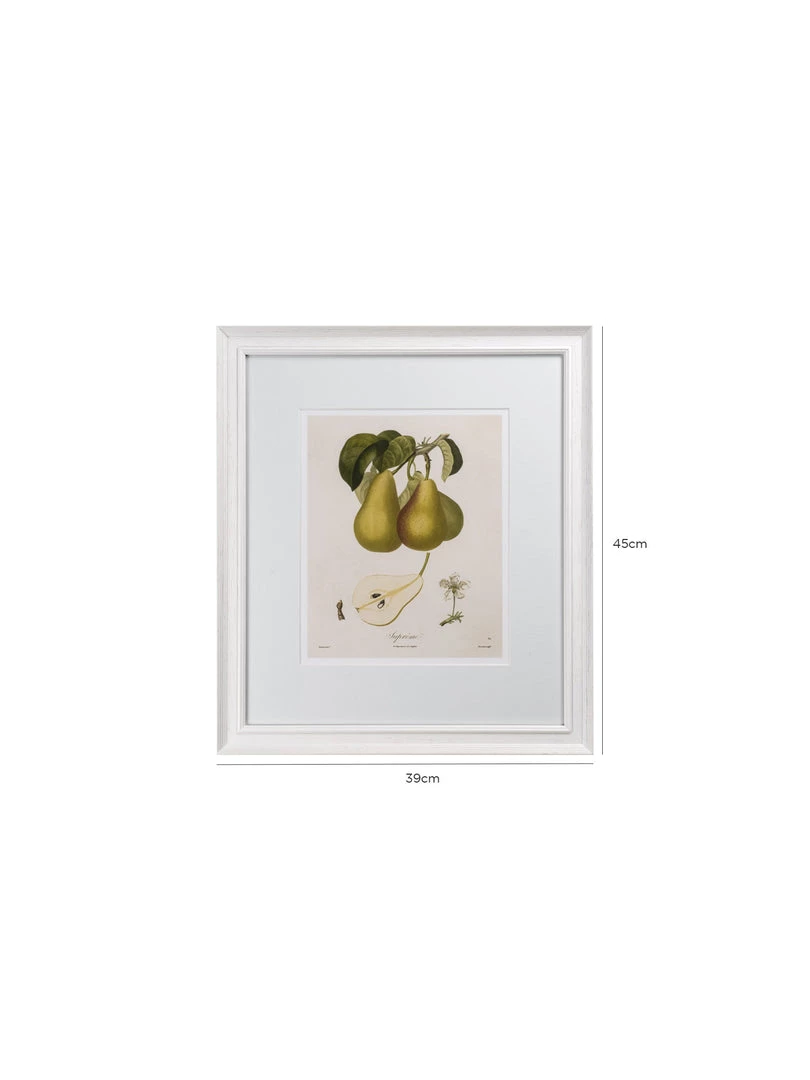 Hudson Home Vintage Pears I Framed Art