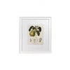 Hudson Home Framed Art Vintage Pears II