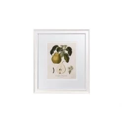 Hudson Home Framed Art Vintage Pears II