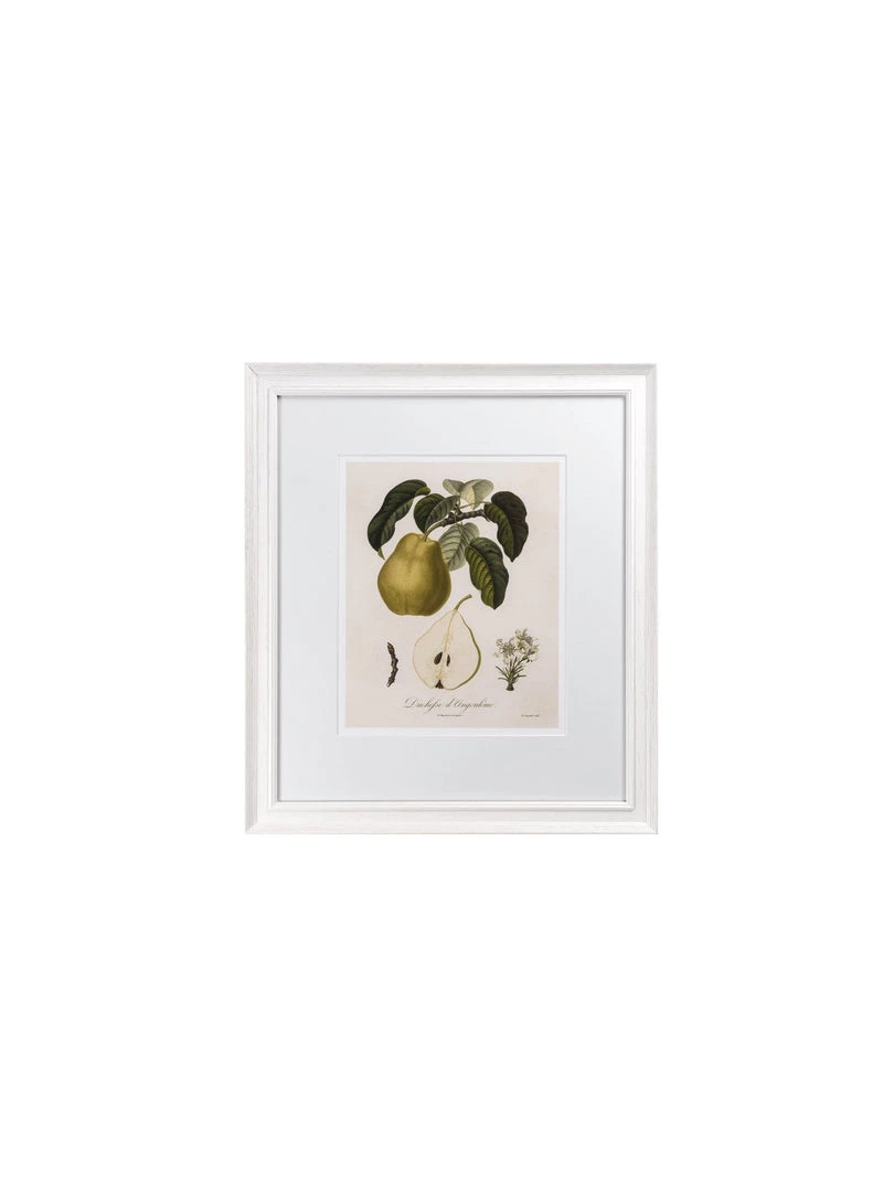 Hudson Home Framed Art Vintage Pears II