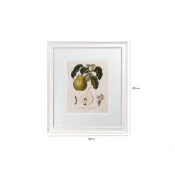 Hudson Home Framed Art Vintage Pears II