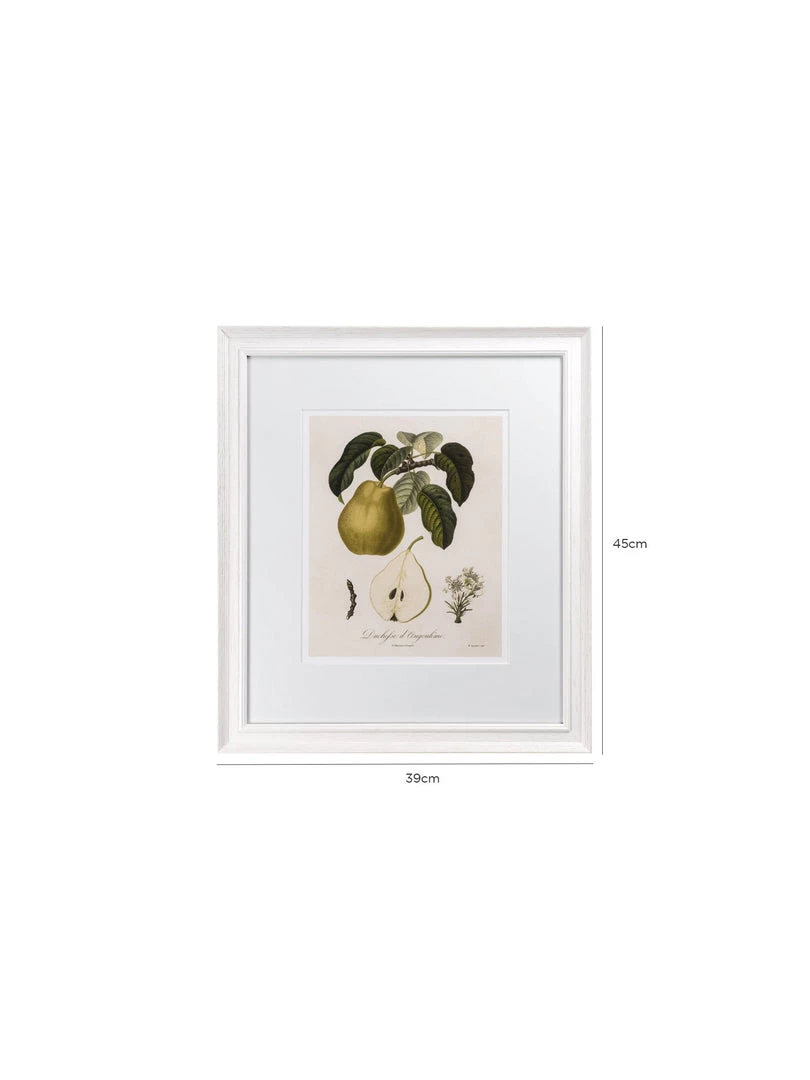 Hudson Home Framed Art Vintage Pears II