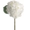 Amanranthine White Hydrangea Stem