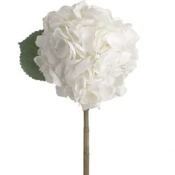 Amanranthine White Hydrangea Stem