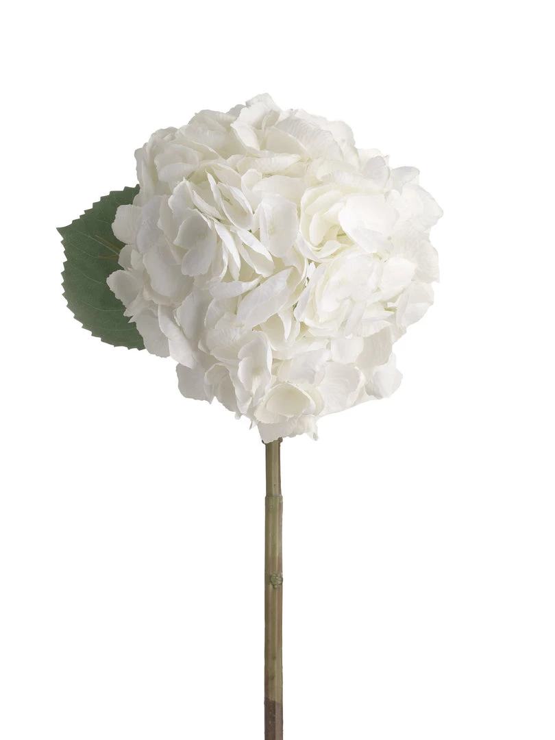 Amanranthine White Hydrangea Stem