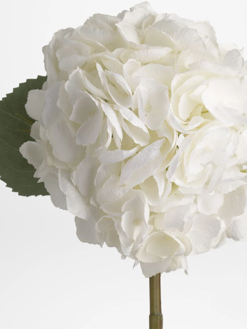 Amanranthine White Hydrangea Stem