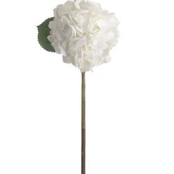 Amanranthine White Hydrangea Stem