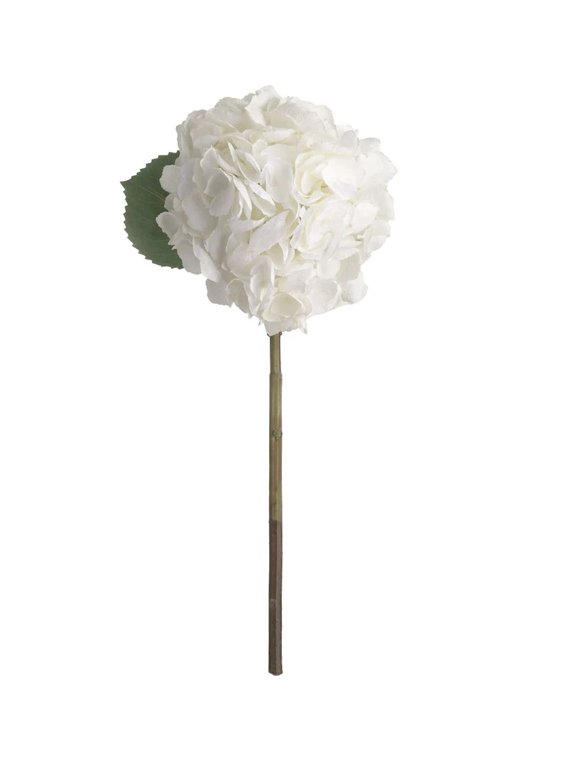 Amanranthine White Hydrangea Stem